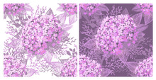 Gentle Purple Vintage Botanical Seamless Background With Hydrangea. Dark And Light Background. Botanical Vector Illustration