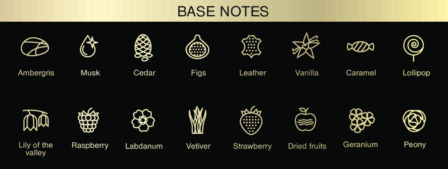 Vector icons aromas base notes. Top notes pyramid chart with examples of popular aroma essences. Smell categories are oriental, woody, fresh and floral. Trend  examples of scents.