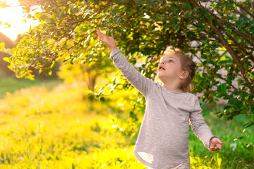 Wall Mural - cute little girl smiles and reaches for a tree branch in nature. backlight of the sun, flare