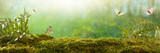 Spring background. Butterflies on forest plants