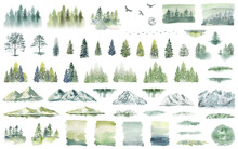 Watercolor Forest Tree Illustration. Mountain Landscape. Woodland Pine Trees. Green Forest.