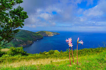 Wall Mural - Panorama view to coastline of Sao Miguel island from Santa Iria viewpoint in Azores