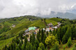 © SULTAN - Organic Tea Garden in Darjeeling district.