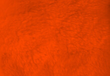 Orange Fur Background Close Up View.
