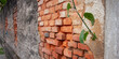 © Rafael - Muro de cimento chapiscado e tijolinhos desgastados em casa antiga abandonada