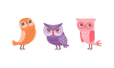 Poster - Funny Owlet with Big Eyes as Comic Nocturnal Bird Vector Set