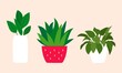 © SirArbusto - Distintos tipos de plantas.