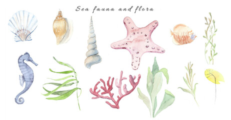 Watercolor sea set, marine fauna and flora, isolated watercolor objects on a white background