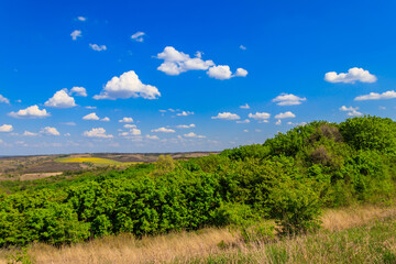 Sticker - Spring landscape with green trees, meadows, fields and blue sky