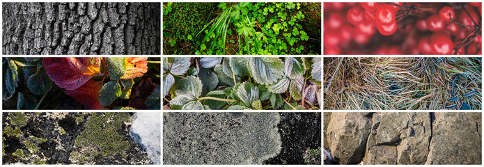 Wall Mural - Set of natural textures. Nature objects close-up: trunks and bark of trees, foliage of plants, surface of stones, grass and lichen, hoarfrost and snow. Collection of panoramic backgrounds for design.