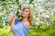 © Elena  - A young blonde in a blue dress in a spring apple orchard with her eyes closed enjoys the flowering. The concept of a plus-size woman and tenderness, modern beauty or femininity.