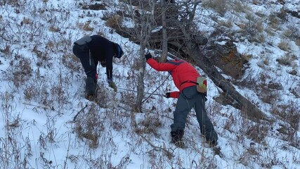 Wall Mural - Two tourists are sawing a tree with a two-handed saw for firewood. Two guys are preparing firewood. Northern landscape. Winter hike. Olkhon Island, a natural landmark of Russia.