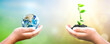 © paul - Earth Day concept: hand holding  plant and earth on blur green nature background