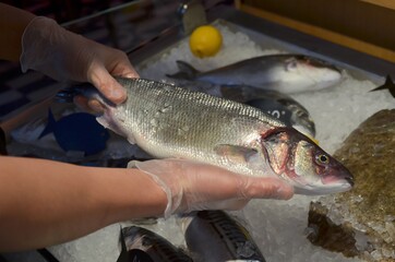 fresh fish in the store