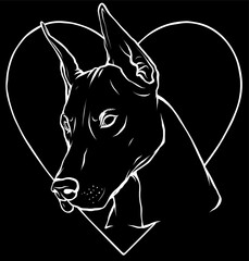 Poster - white silhouette head of Dobermann with heart on black background