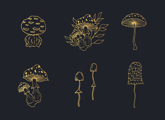 Set of gold mushrooms for witchcraft. Vector isolated illustration with golden fungies for poison.