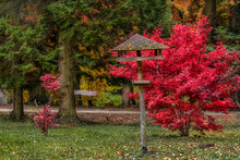 Wooden Bird Feeder With A Harsh Red Bush Behind It In A Botanical Garden During The Autumn