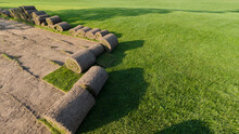 Rolls Of Lawn Grass On A Golf Course In A Park On A Sunny Day, Against A Background Of Pine Trees. Wide Frame