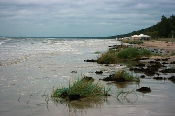 Wall Mural - view of the beach