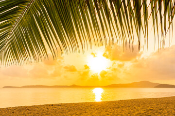 Wall Mural - Beautiful tropical beach sea ocean with coconut palm tree at sunset or sunrise