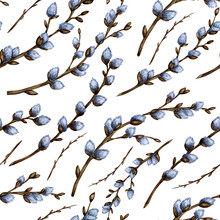 Watercolor Illustration Of Seamless Repeating Pattern Of Pussy Willow Twigs. Spring Illustration For Design, Print, Fabric Or Background. Easter, Religion, Tradition. Isolated On White Background. 