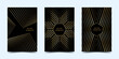 Modern set of frames, black cover. Vector pattern of golden lines, for cover, advertising brochure template