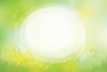 Wall Mural - vector green, bokeh, nature background. round frame on green background.