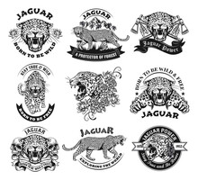 Monochrome Labels With Jaguar Vector Illustration Set. Retro Tattoo Design With Wild Leopard. Wildlife And Big Cats Concept Can Be Used For Retro Template