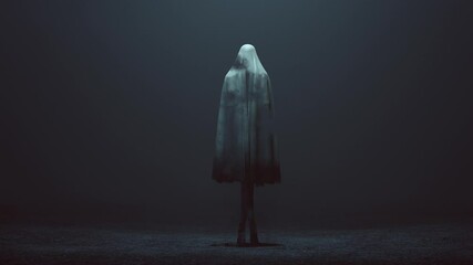 Wall Mural - Standing Evil Spirit Ghost with Crossed Legs and Hands by Her Sides in a Death Shroud Sheet in a Foggy Void Back View 3d Illustration animation