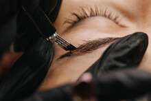 Eyebrow Microblading. A Master In Black Gloves Holds A Blending Needle Over The Brow Of The Model. Macro Photography