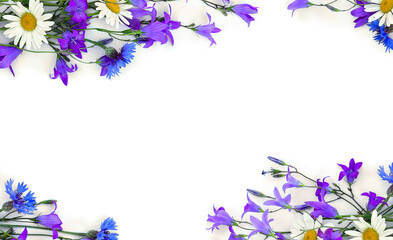 Wall Mural - frame of violet flowers bellflowers, chamomiles and blue cornflowers on a white background with spac