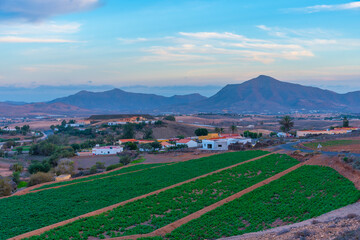 Wall Mural - Sunset view of agricultural landscape of Fuerteventura, Canary islands, Spain