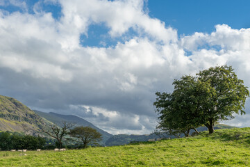 Wall Mural - Countryside of the Lake District