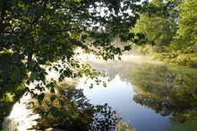 Quiet Reflections In A Misty Pond In The Early Morning, Cape Elizabeth, Maine      