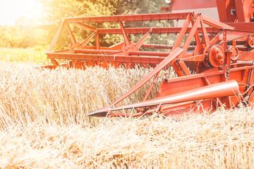 Red harvester working in the wheat field in the summer.Combine harvester harvests ripe wheat.Combine harvester in front of the setting sun. Wheat field.