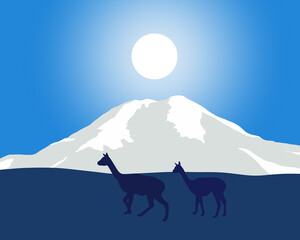 Wall Mural - Beatiful lanscape of  Chimborazo volcano with vicuñas , the closest point to the sun, the highest mountain in the world