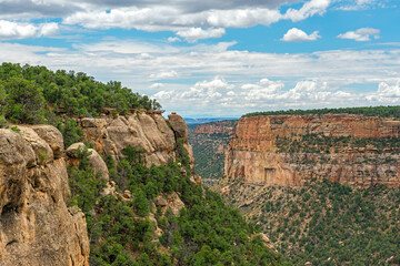 Wall Mural - Aerial canyon landscape, Mesa Verde national park, Colorado, United States of America (USA).