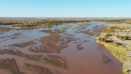 Wall Mural - aerial video of the beautiful black river in autumn, inner mongolia, China