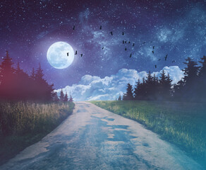 Wall Mural - old dark night road through forest and starry sky