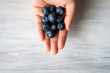 Hand hold Harvest summer jam ingredient organic bio tasty blueberry healthy natural purple fruit berry for sweet dessert vitamin antioxidant snack with fresh wet water drop