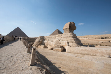 Wall Mural - The Great Sphinx of Giza-Cairo-Egipt 5