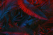 Tropical green palm leaves in vibrant gradient neon colors