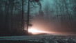 Światła reflektorów w mglistym lesie