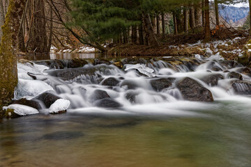 Sticker - Ruisseau des Vosges