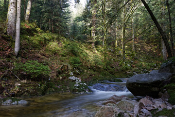 Sticker - Ruisseau des Vosges