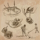 Fototapeta Konie - Coffee harvesting and processing. Agriculture. An hand drawn vector illustration.