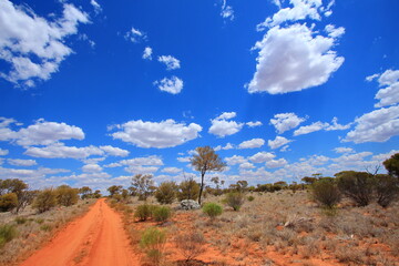 Wall Mural - Australian outback wilderness and remoteness