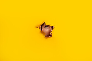 Wall Mural - Young woman peeks out of a hole in the wall on a yellow background. Banner