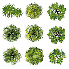 Wall Mural - collection of abstract watercolor green tree top view isolated on white background for landscape pla