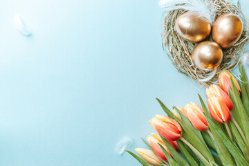 Wall Mural - Basket easter decoration: Golden eggs in basket with spring tulips, white feathers on pastel blue background. Congratulatory easter design. Top view.